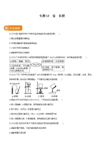 2022届初中化学一轮复习 专题13 盐　化肥 习题