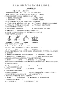 湖南省永州市宁远县2021-2022学年九年级上学期期末考试化学试题（word版 含答案）