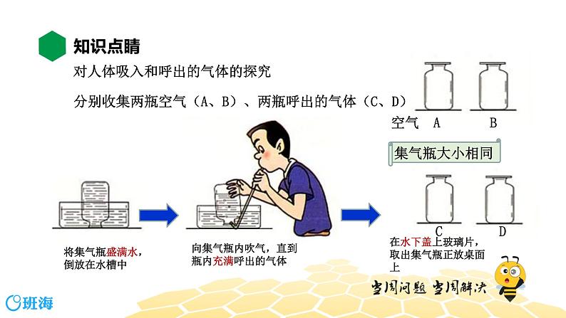 化学九年级-1.2.2【知识精讲】对人体吸入和呼出的气体的探究第3页