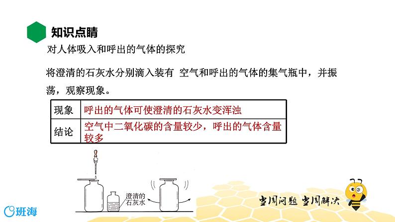 化学九年级-1.2.2【知识精讲】对人体吸入和呼出的气体的探究第4页