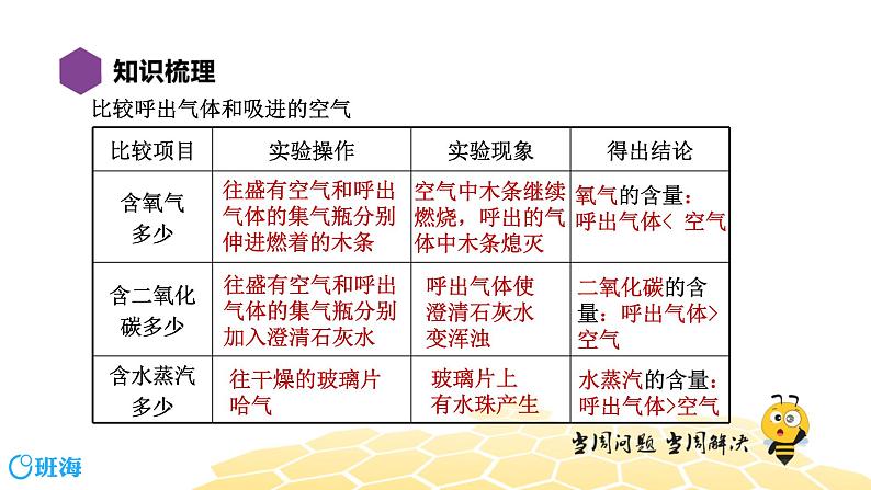 1.4走进化学世界【复习课程】课件PPT第4页