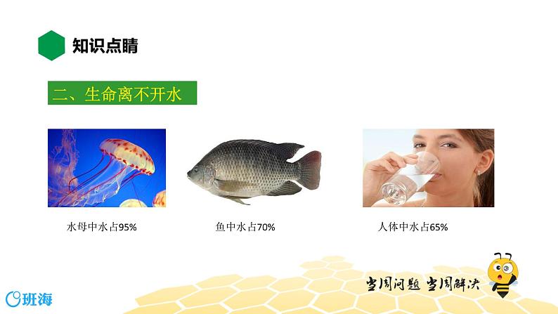 化学九年级-4.1【知识精讲】珍惜、爱护水资源第6页