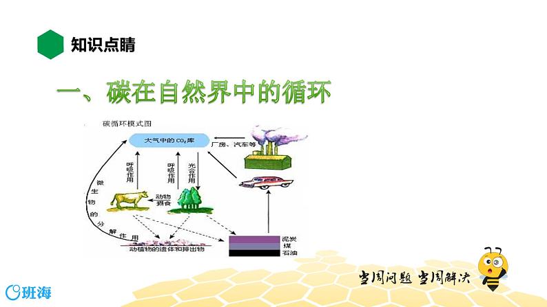 化学九年级-6.2.2【知识精讲】二氧化碳的性质与用途、碳循环第3页