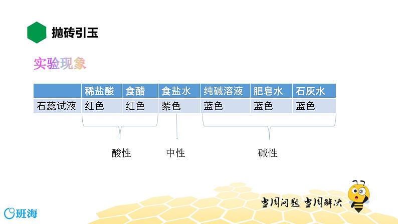 化学九年级-10.1【知识精讲】溶液的酸碱性第3页