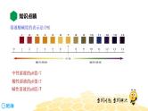 10.1溶液的酸碱性【知识点预习+精讲】课件PPT