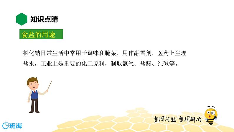 10.3.1几种常见的盐、海水“制碱”【知识点预习+精讲】课件PPT05