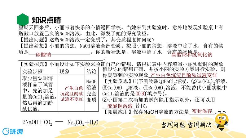 化学九年级-12.4【知识精讲】实验探究专题第4页