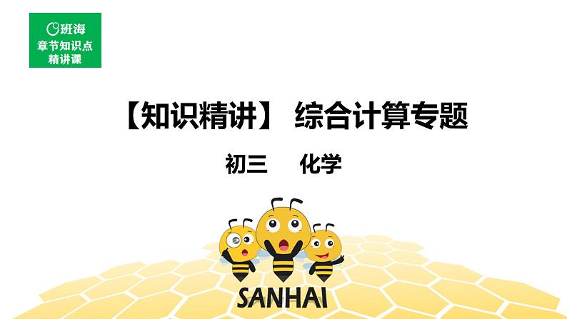 化学九年级-12.5【知识精讲】综合计算专题第1页