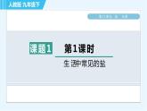 人教版九年级下册化学 第11章 11.1.1 生活中常见的盐 习题课件