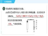 人教版九年级下册化学 第11章 11.1.1 生活中常见的盐 习题课件