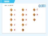 科学版九年级下册化学 第8章 8.1 溶液的酸碱性 习题课件