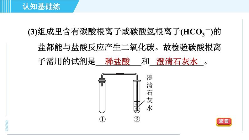 人教版九年级下册化学 第11章 11.1.1 生活中常见的盐 习题课件第7页