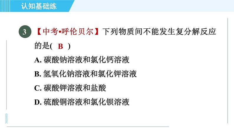 人教版九年级下册化学 第11章 11.1.2 复分解反应 习题课件第5页