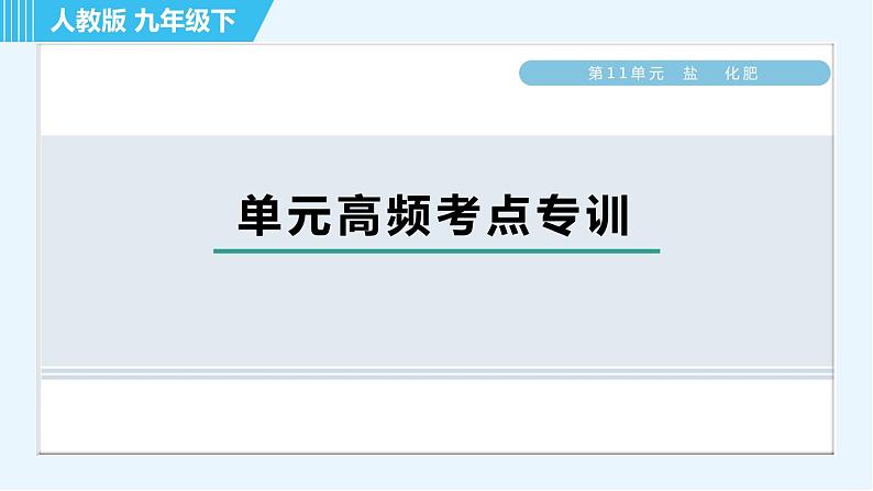 人教版九年级下册化学 第11章 单元高频考点专训 习题课件第1页