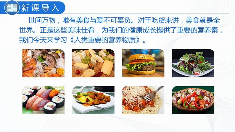12.1人类重要的营养物质 课件第3页