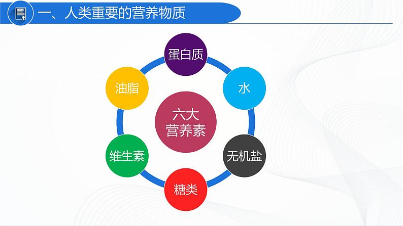 12.1人类重要的营养物质 课件第5页