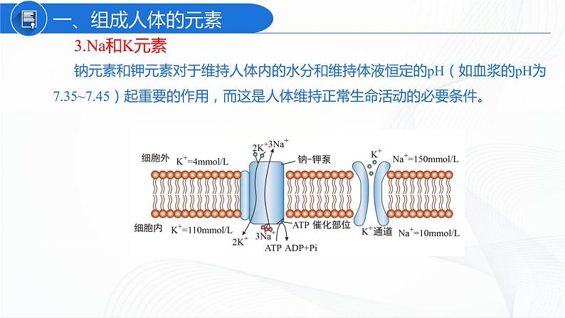 人教版化学九下12.2《化学元素与人体健康》课件+同步练习+内嵌视频07