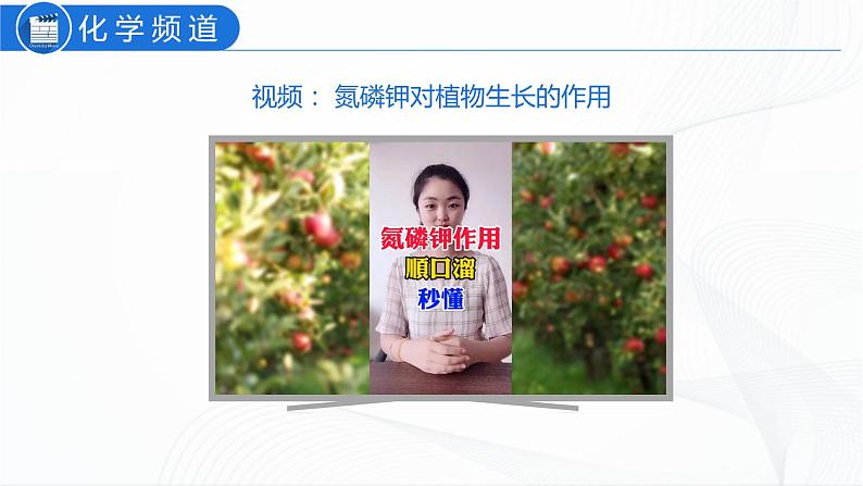 人教版化学九下11.2《化学肥料》课件+同步练习+内嵌视频04