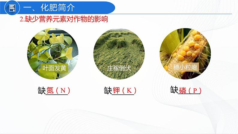 人教版化学九下11.2《化学肥料》课件+同步练习+内嵌视频06