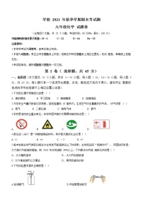 云南省红河州河口县2021-2022学年九年级上学期期末化学试题（word版 含答案）