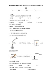 河南省南阳市南召县2021-2022学年九年级上学期期末化学试题（word版 含答案）