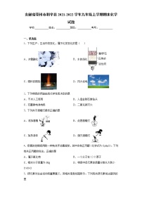 安徽省亳州市利辛县2021-2022学年九年级上学期期末化学试题（word版 含答案）