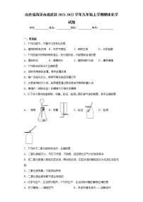 山东省菏泽市成武县2021-2022学年九年级上学期期末化学试题（word版 含答案）