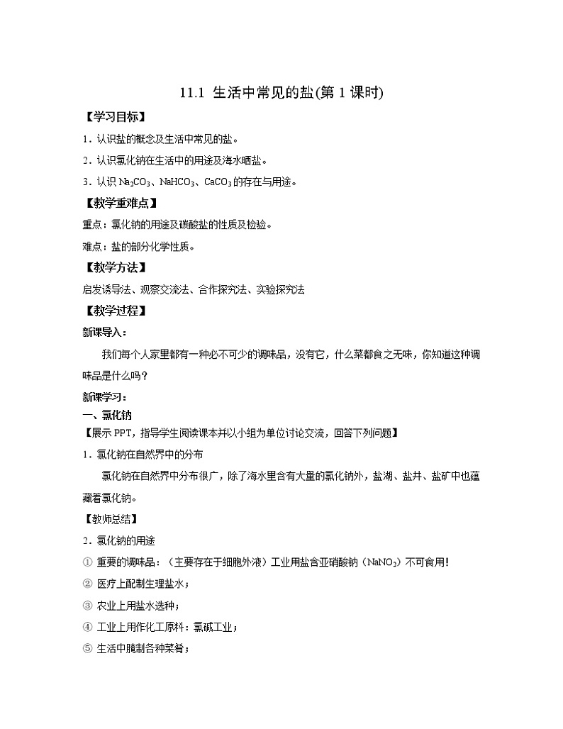 人教版初中化学九年级下册 11.1 生活中常见的盐(第1课时) 教案01