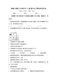 部编人教版八年级化学(上册)期中水平测试卷及答案