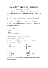 部编人教版八年级化学上册期中测试卷加答案