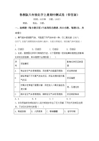 鲁教版八年级化学上册期中测试卷（带答案）