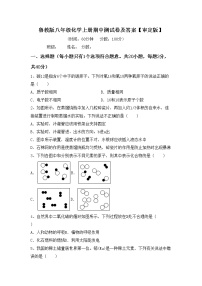 鲁教版八年级化学上册期中测试卷及答案【审定版】