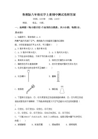 鲁教版八年级化学上册期中测试卷附答案