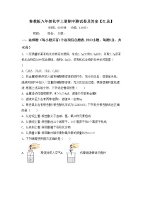 鲁教版八年级化学上册期中测试卷及答案【汇总】