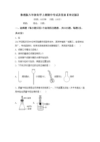 鲁教版八年级化学上册期中考试及答案【审定版】练习题