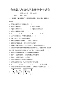 鲁教版八年级化学上册期中考试卷