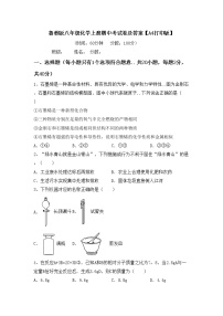 鲁教版八年级化学上册期中考试卷及答案【A4打印版】