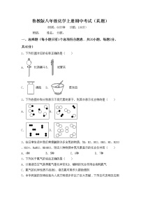 鲁教版八年级化学上册期中考试（真题）