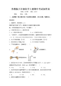 鲁教版八年级化学上册期中考试加答案练习题