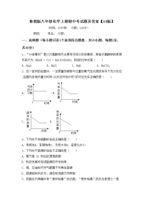 鲁教版八年级化学上册期中考试题及答案【A4版】