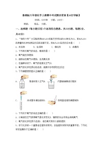 鲁教版八年级化学上册期中考试题及答案【A4打印版】