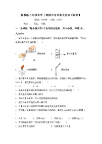 鲁教版八年级化学上册期中考试卷及答案【最新】