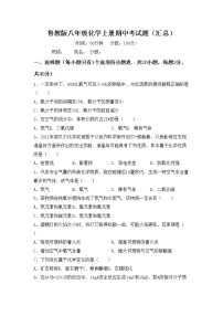 鲁教版八年级化学上册期中考试题（汇总）