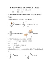 鲁教版八年级化学上册期中考试题（审定版）