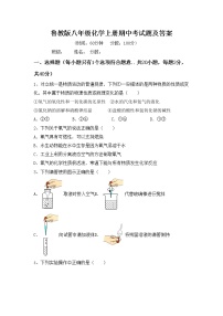 鲁教版八年级化学上册期中考试题及答案