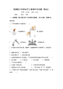 鲁教版八年级化学上册期中考试题（精品）