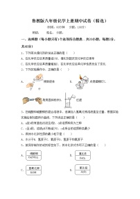 鲁教版八年级化学上册期中试卷（精选）