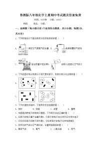 鲁教版八年级化学上册期中考试题及答案免费