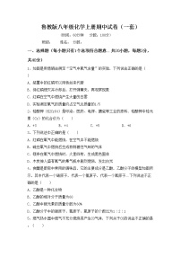 鲁教版八年级化学上册期中试卷（一套）