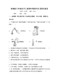 鲁教版八年级化学上册期中模拟考试【附答案】练习题